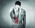 Anti-inflammatory activities of Ganoderma lucidum (Lingzhi) Αντι-φλεγμονώδεις δράσεις του Ganoderma lucidum